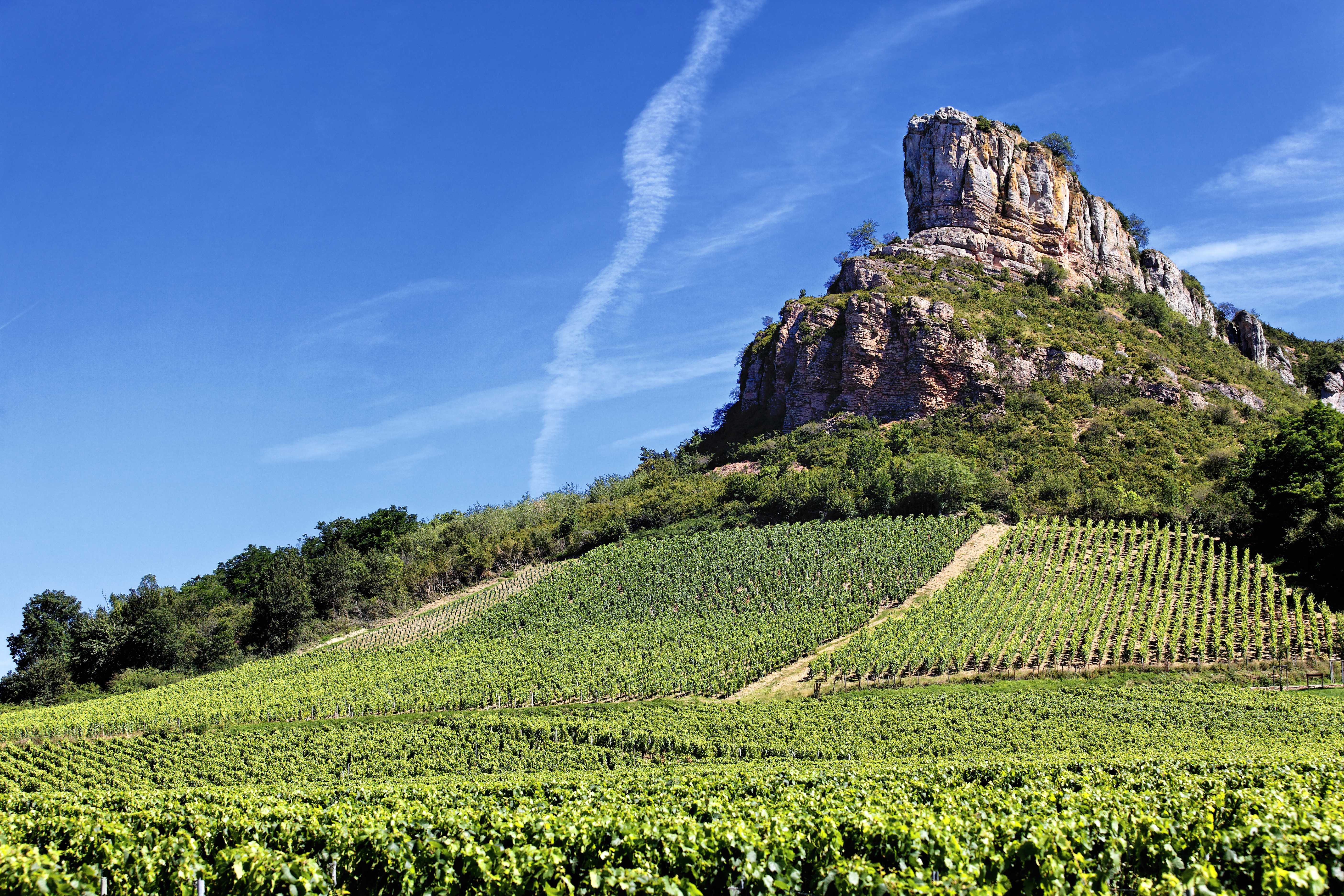famous Solutre Rock with vineyards, Burgundy, France